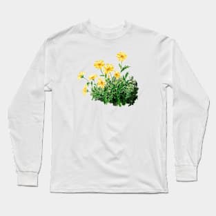 September 3rd birthday flower Long Sleeve T-Shirt